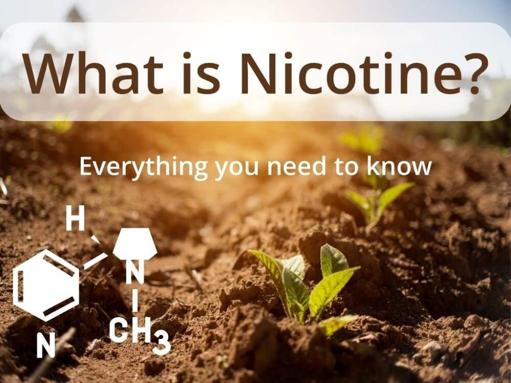 Key Essentials of Nicotine Understanding