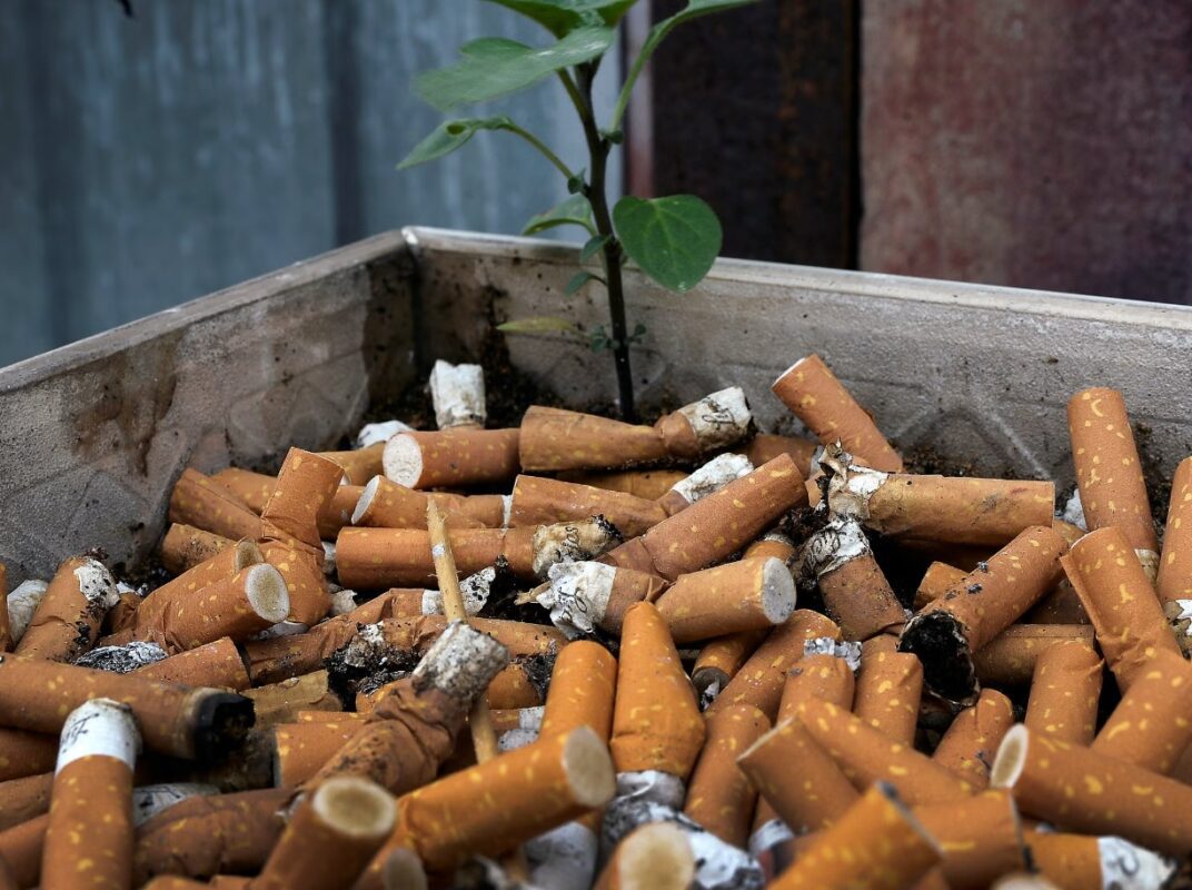 Exploring the Environmental Impact of Native Cigarettes