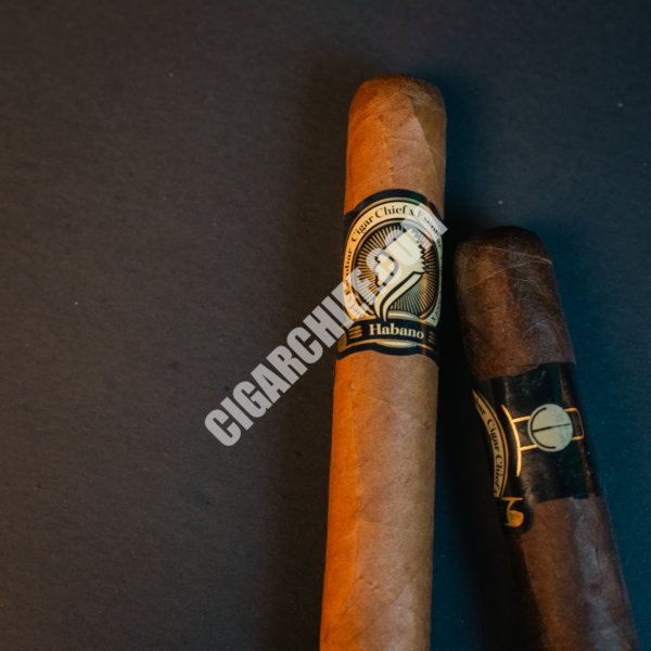 Cigar Chief House Blend Habano Robusto