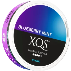 XQS Blueberry Mint 10 mg