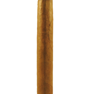 Junction Robusto Cigar