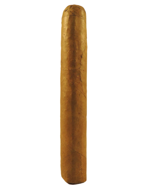 Junction Dominican Robusto Cigar