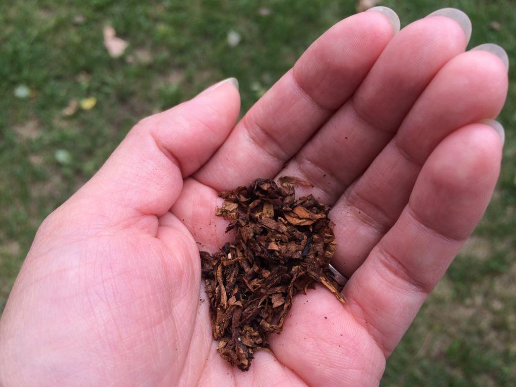 Ways to Smoke Native Tobacco: A Comprehensive Guide - Native Smokes ...